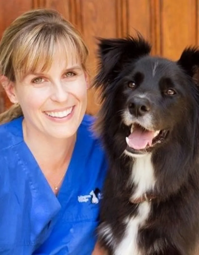 Dr. Erin Spence Examining a Small Black Dog